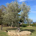 Dolcevita * San Costanzo