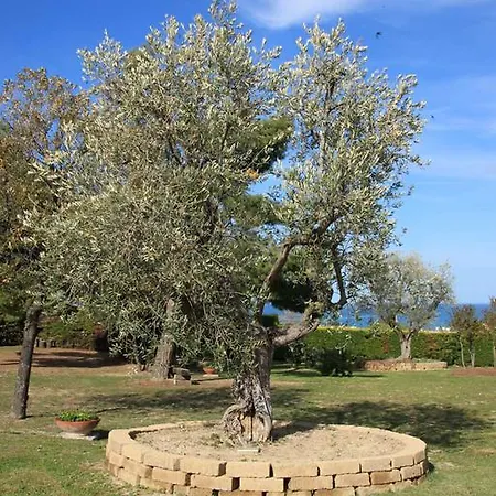 Dolcevita * San Costanzo